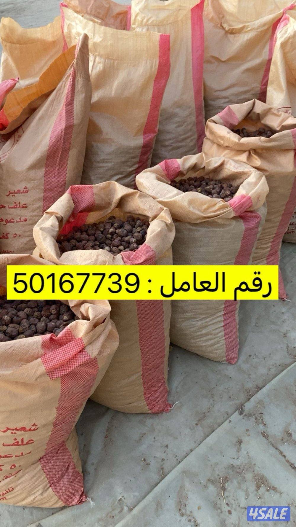 تمر للحلال0