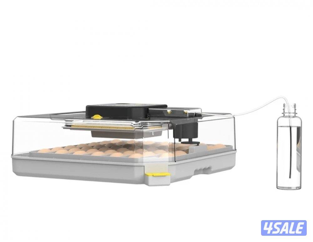 🪺فقاصة شقرديه٢ وسط🐦2