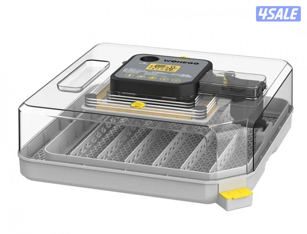 🪺فقاصة شقرديه٢ وسط🐦3