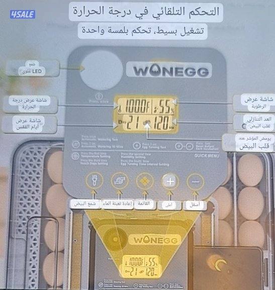 🪺فقاصة شقرديه٢ وسط🐦5