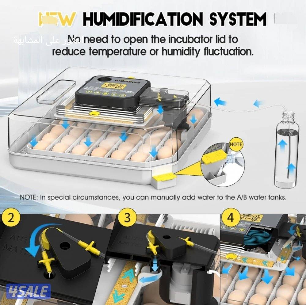 🪺فقاصة شقرديه٢ وسط🐦6