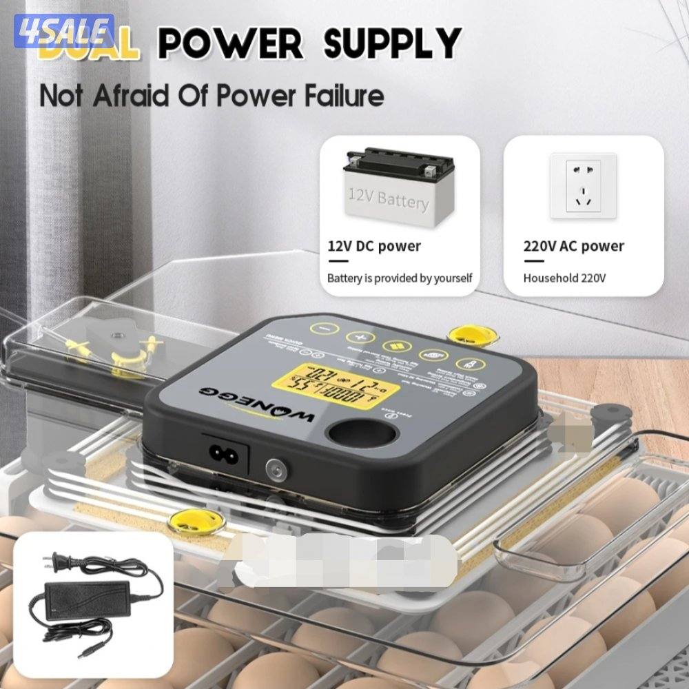 🪺فقاصة شقرديه٢ وسط🐦8