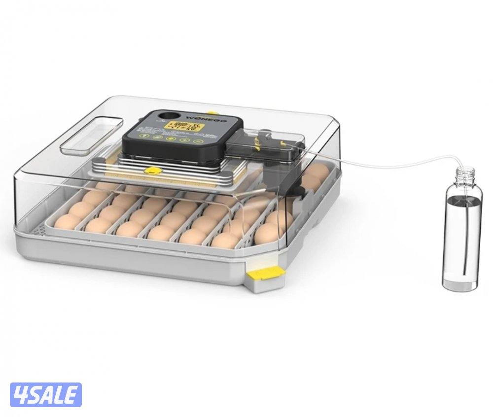 🪺فقاصة شقرديه٢ وسط🐦11