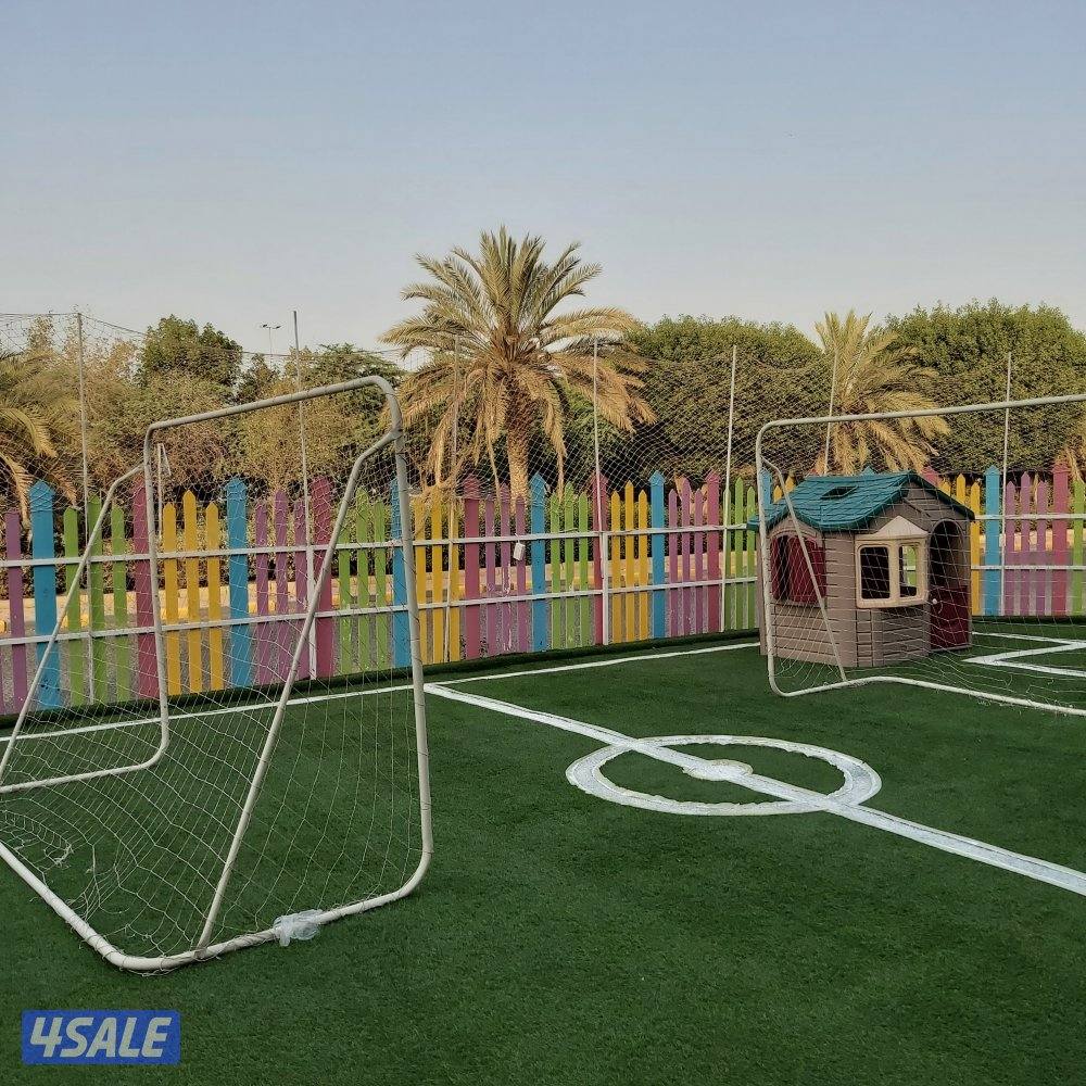 تنسيق حدائق12