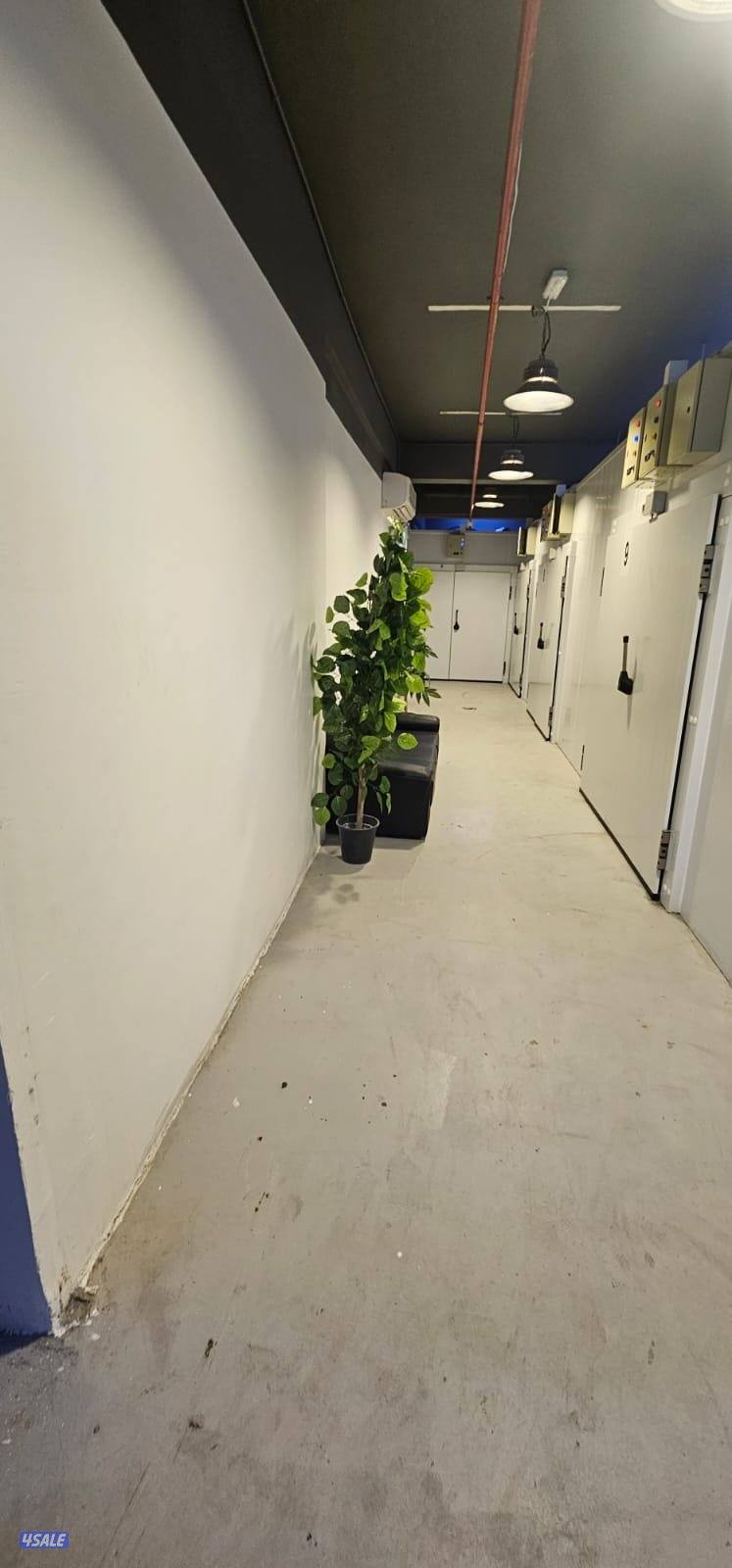 مخازن غذائيه تبريد وتجميد للايجار4