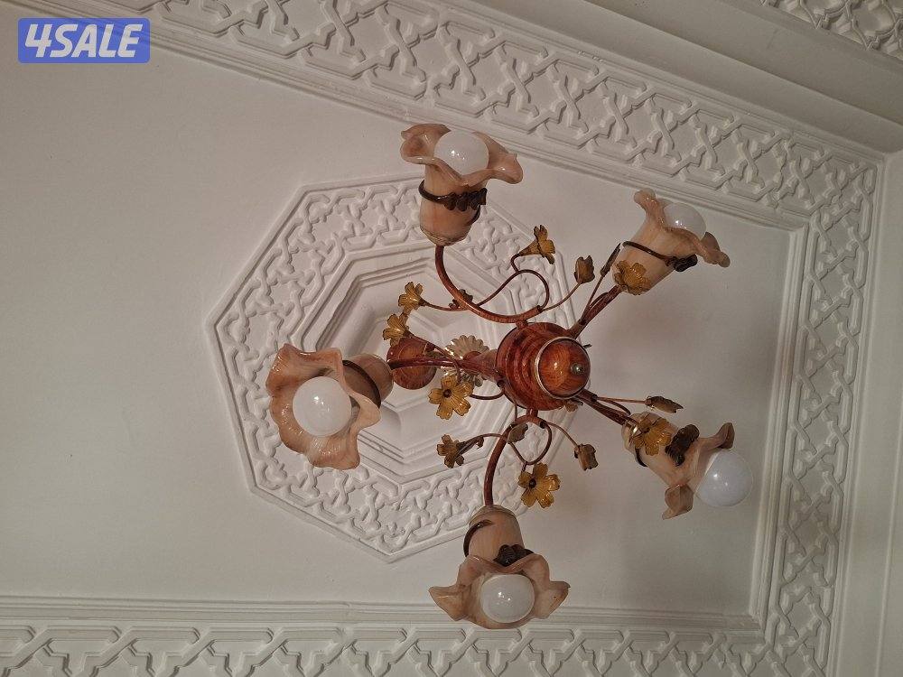 beautiful fanoos for living room / light / lamp/ night light0