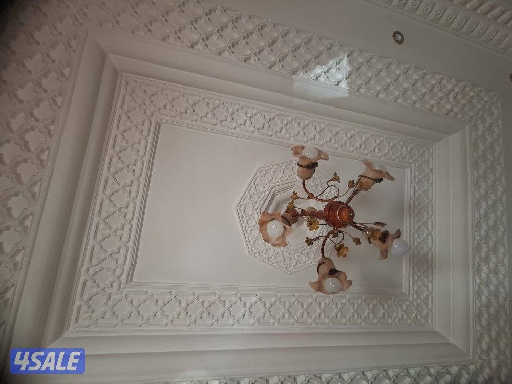 beautiful fanoos for living room / light / lamp/ night light1