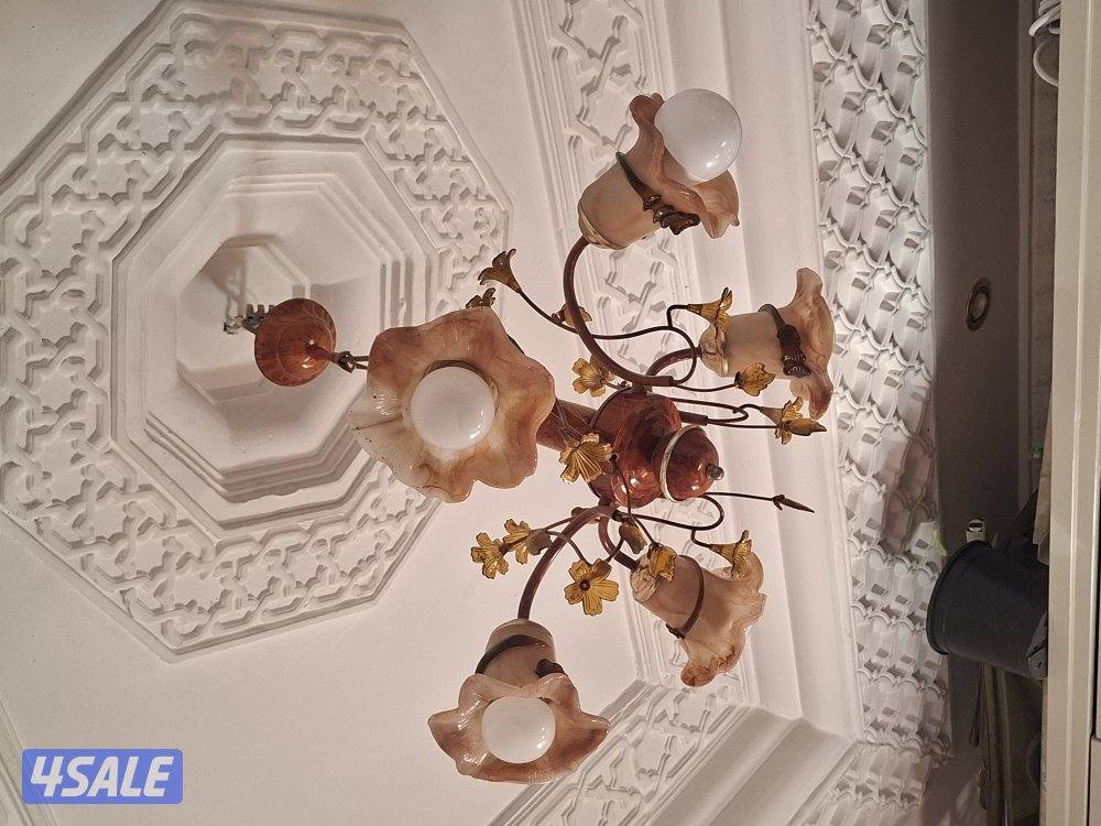 beautiful fanoos for living room / light / lamp/ night light2