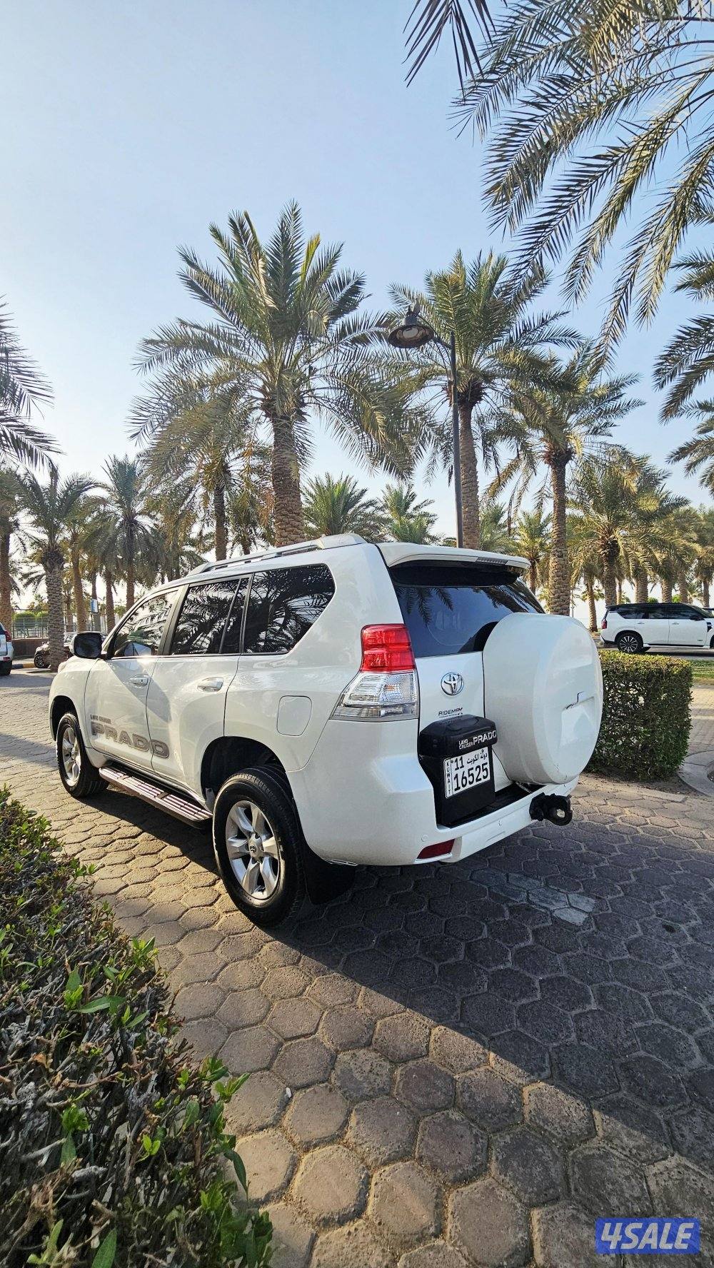 برادو 2013 TXL الفل لون صدفي 6 سلندر10