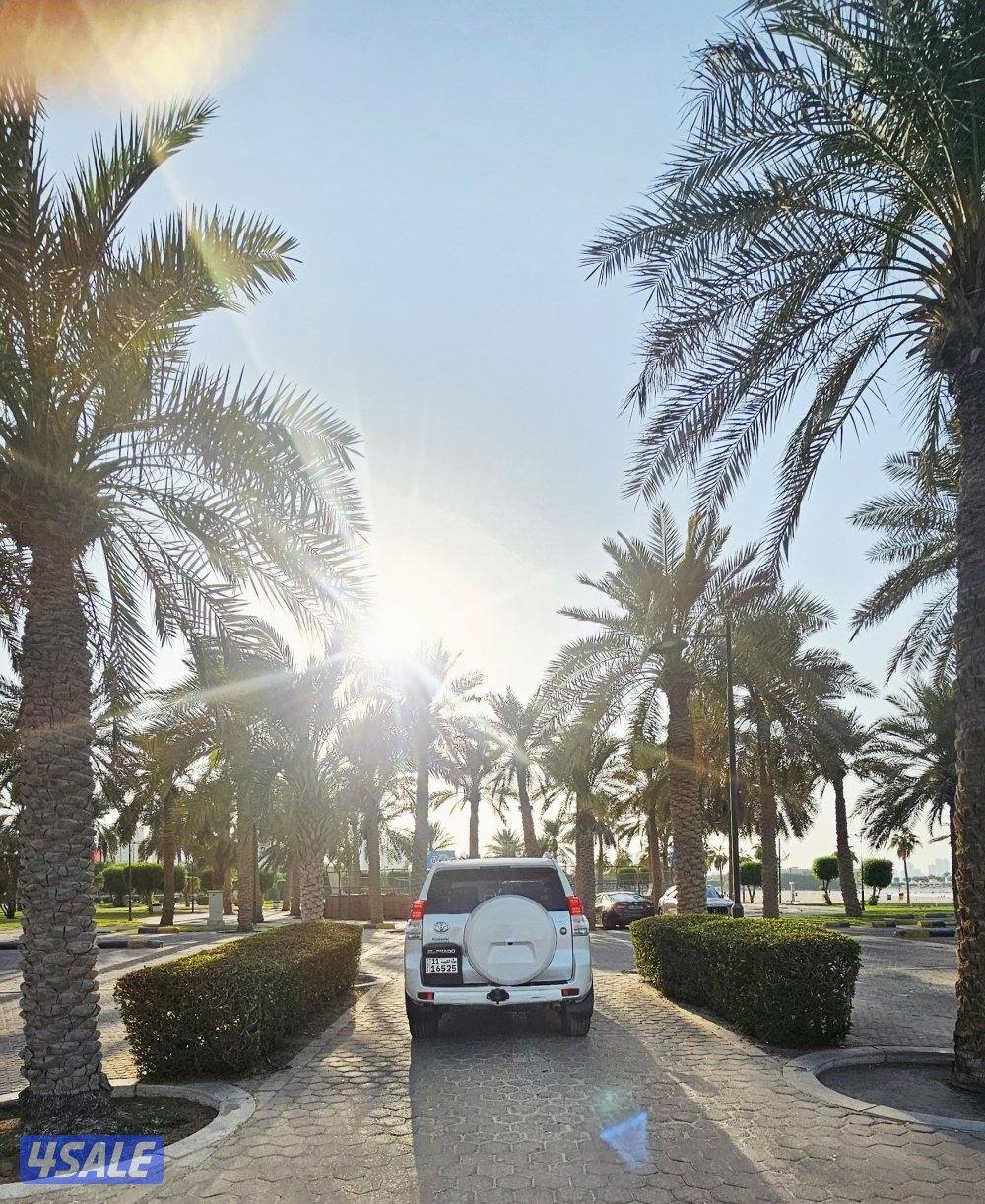 برادو 2013 TXL الفل لون صدفي 6 سلندر12