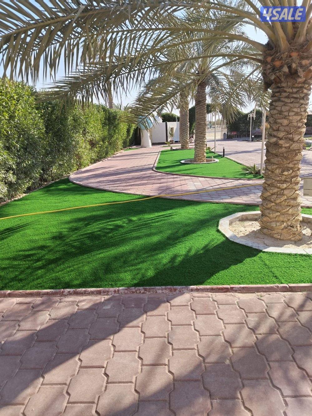 تنسيق حداىق وتركيب ثيل صناعي وتركيب سياج تركي6