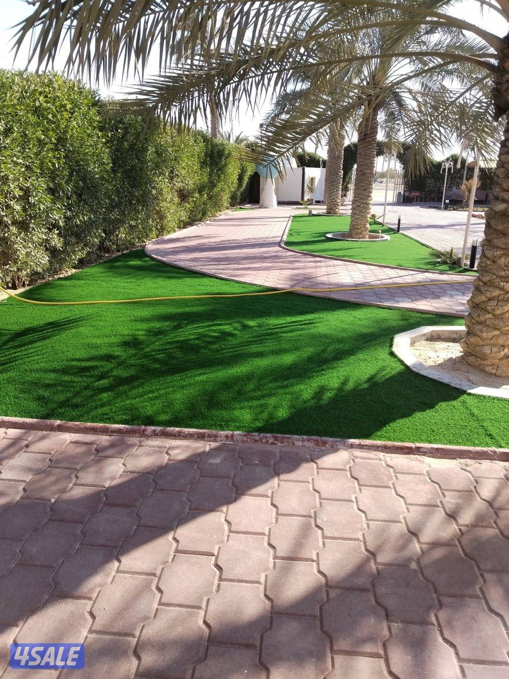 تنسيق حداىق وتركيب ثيل صناعي وتركيب سياج تركي7