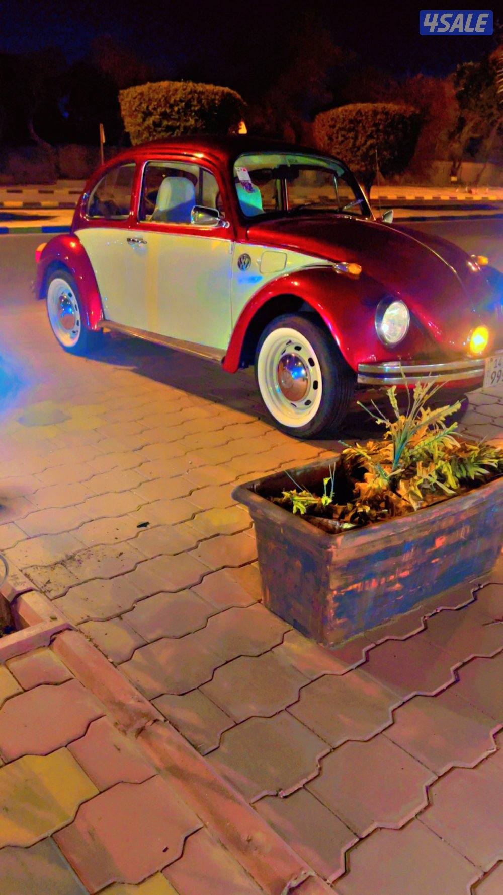 فلكس بيتل الماني اصلي للجادين3