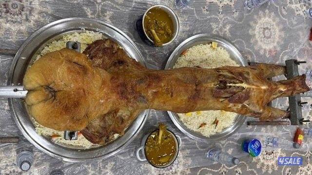 شواية الخروف البوسنية7