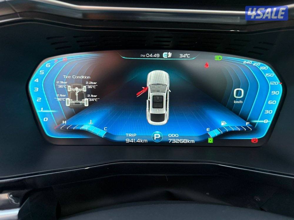 جيلي توجيلا الفل 2022 صبغ وكالة8