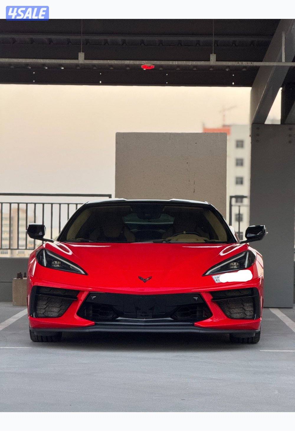 C8 Stingray Z51 3LT / 2022 / 23 km14