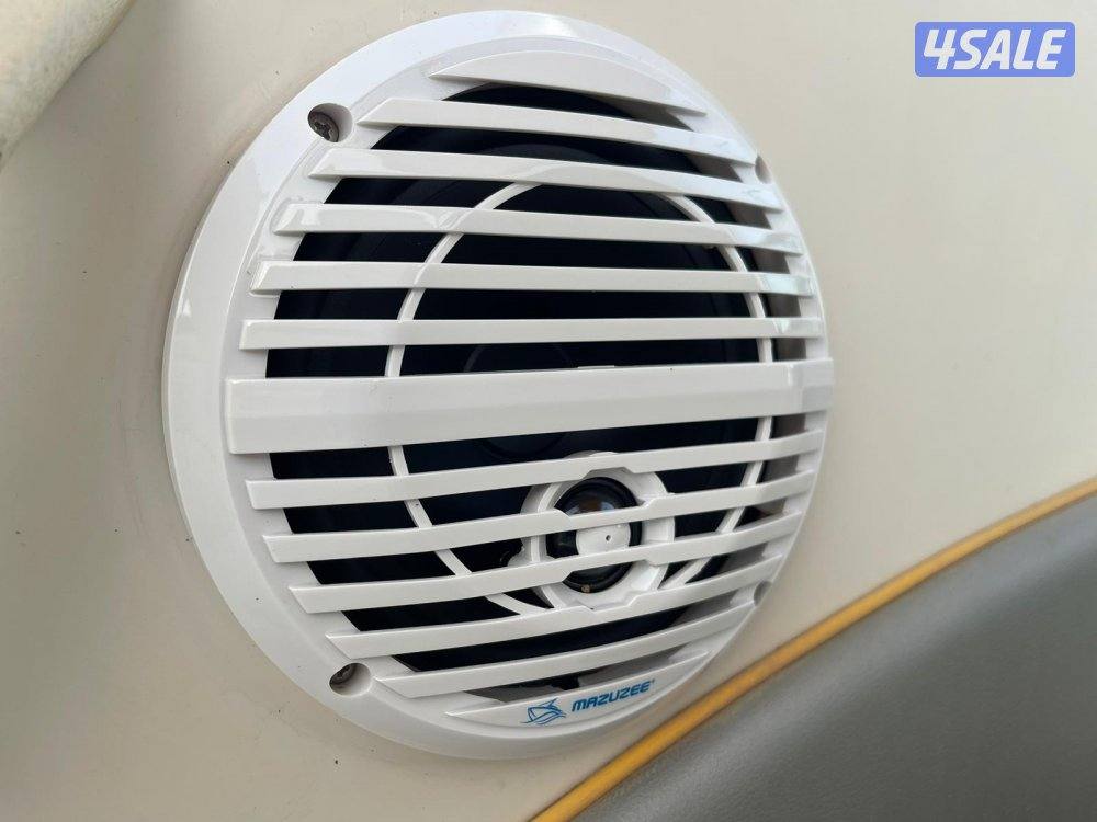 للبيع SEARAY 50th anniversary5