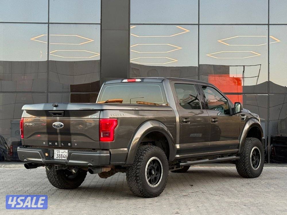 FORD F150 SHELBY _20173