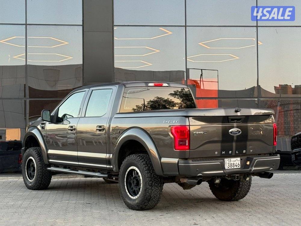 FORD F150 SHELBY _20174
