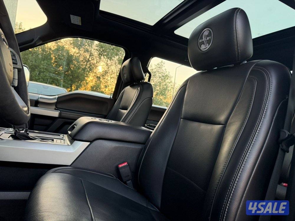 FORD F150 SHELBY _20176