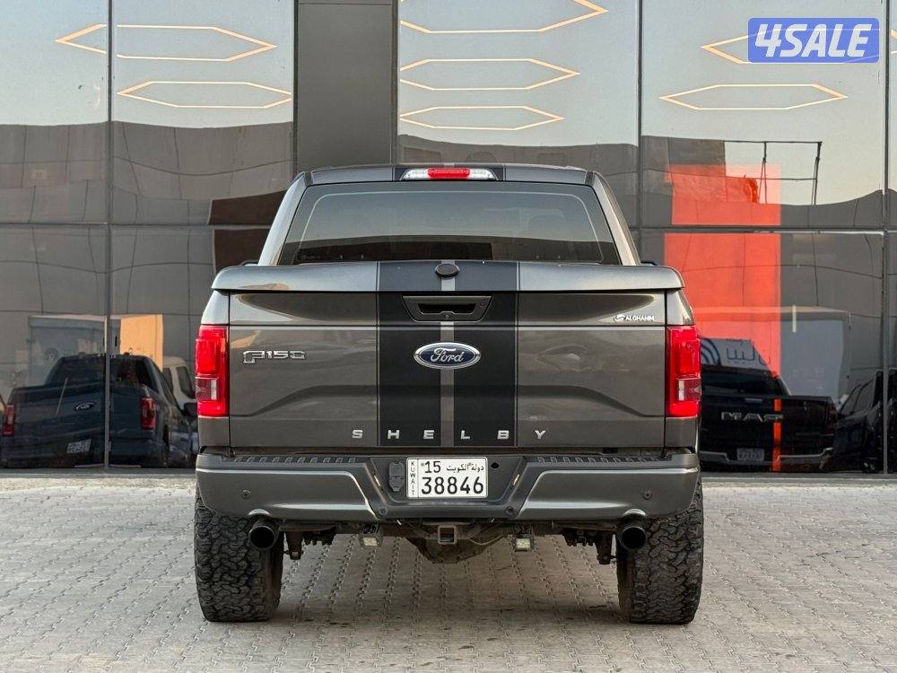 FORD F150 SHELBY _20175