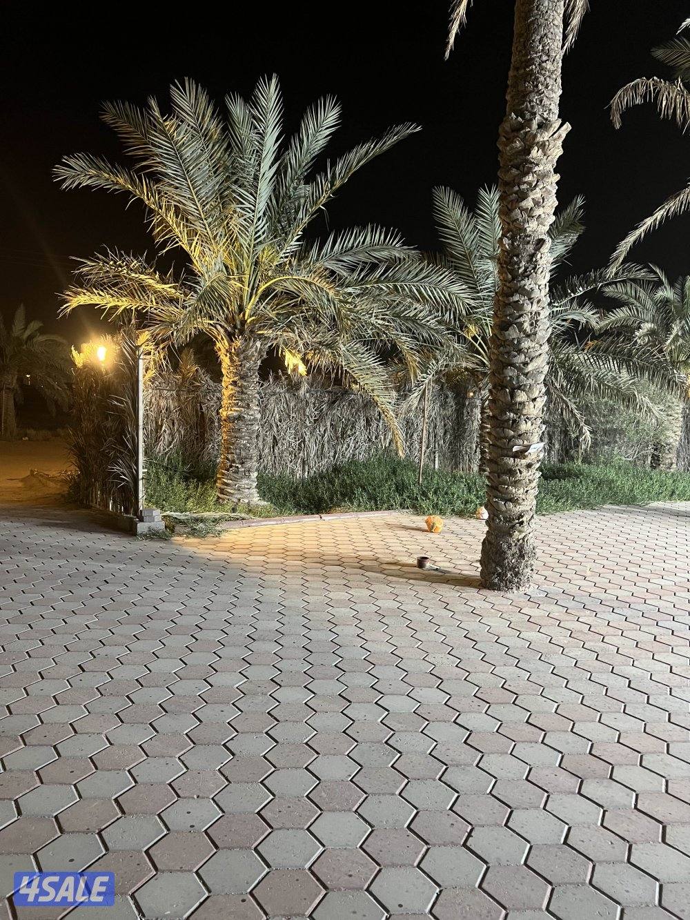 للبيع مزرعه 12,500بالعبدلي موقع مميز وقريب من الطريق العبدلي في قطعه28