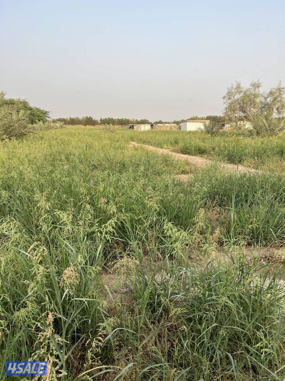 للبيع مزرعه 12,500بالعبدلي موقع مميز وقريب من الطريق العبدلي في قطعه211