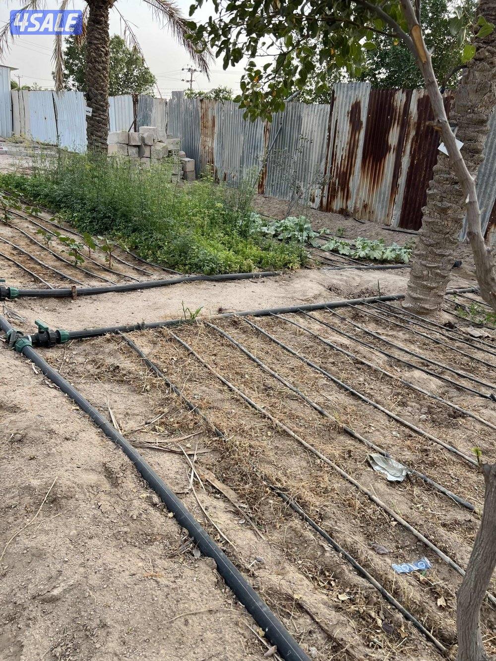 للبيع مزرعه 12,500بالعبدلي موقع مميز وقريب من الطريق العبدلي في قطعه212