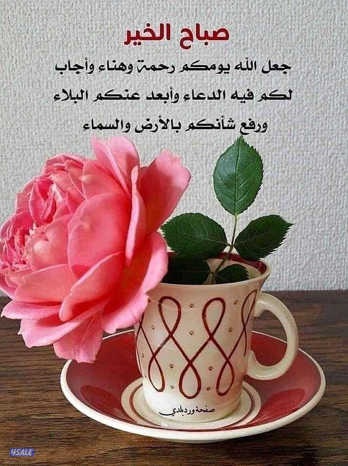 للبيع. /. بيت. رواق المنطقه0