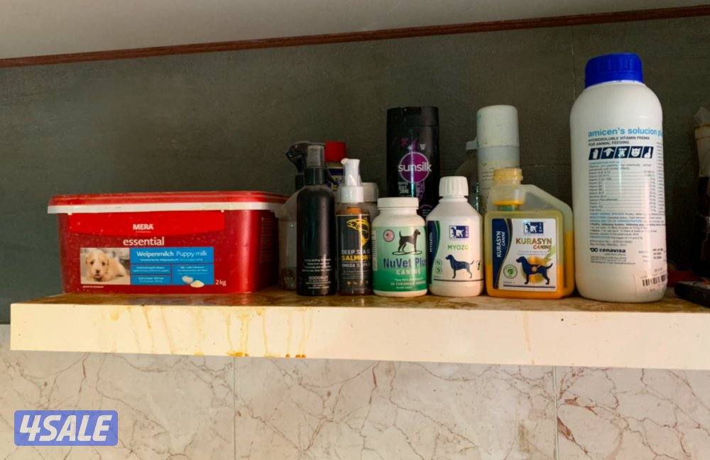 فندقه للكلاب3