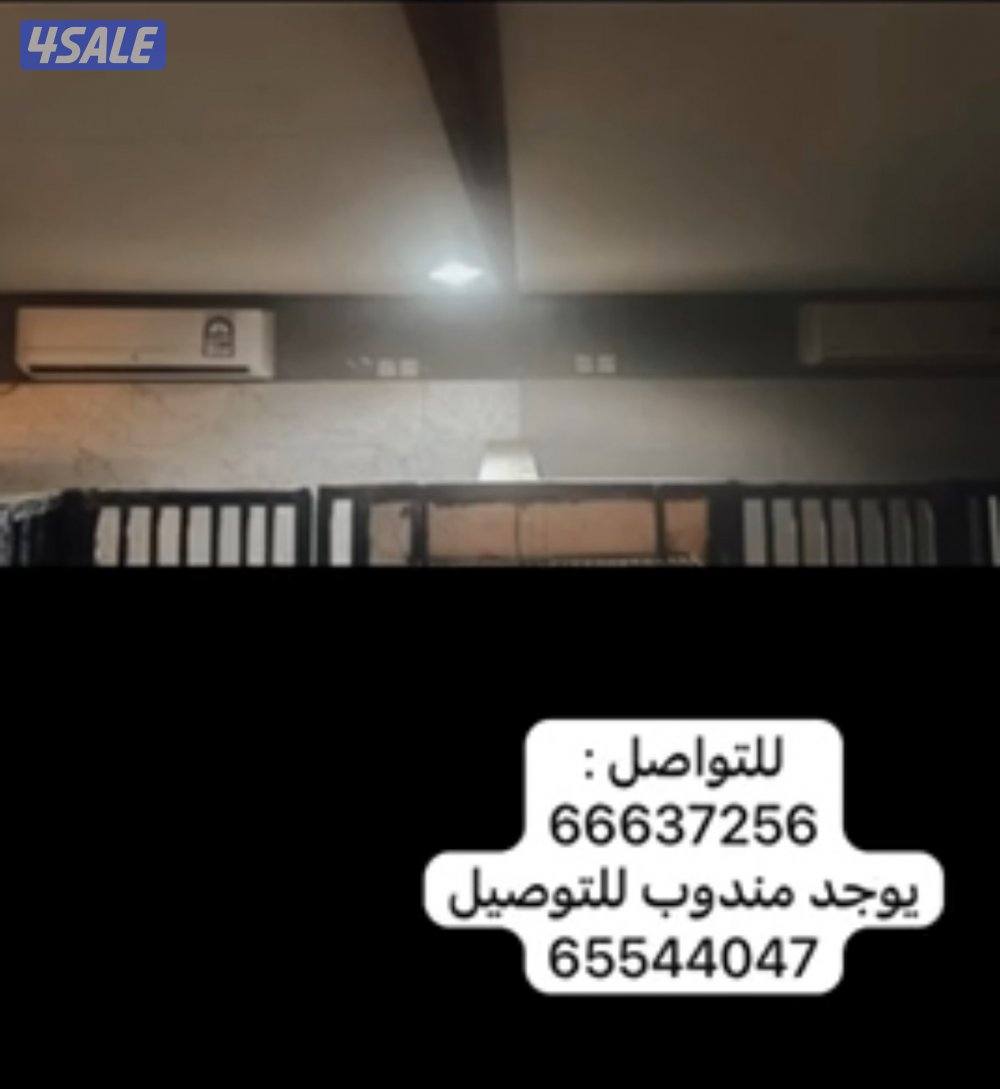 فندقه للكلاب2