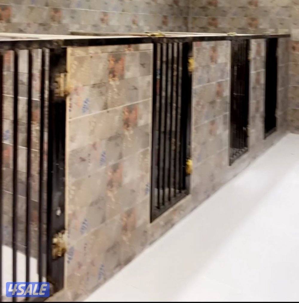 فندقه للكلاب5