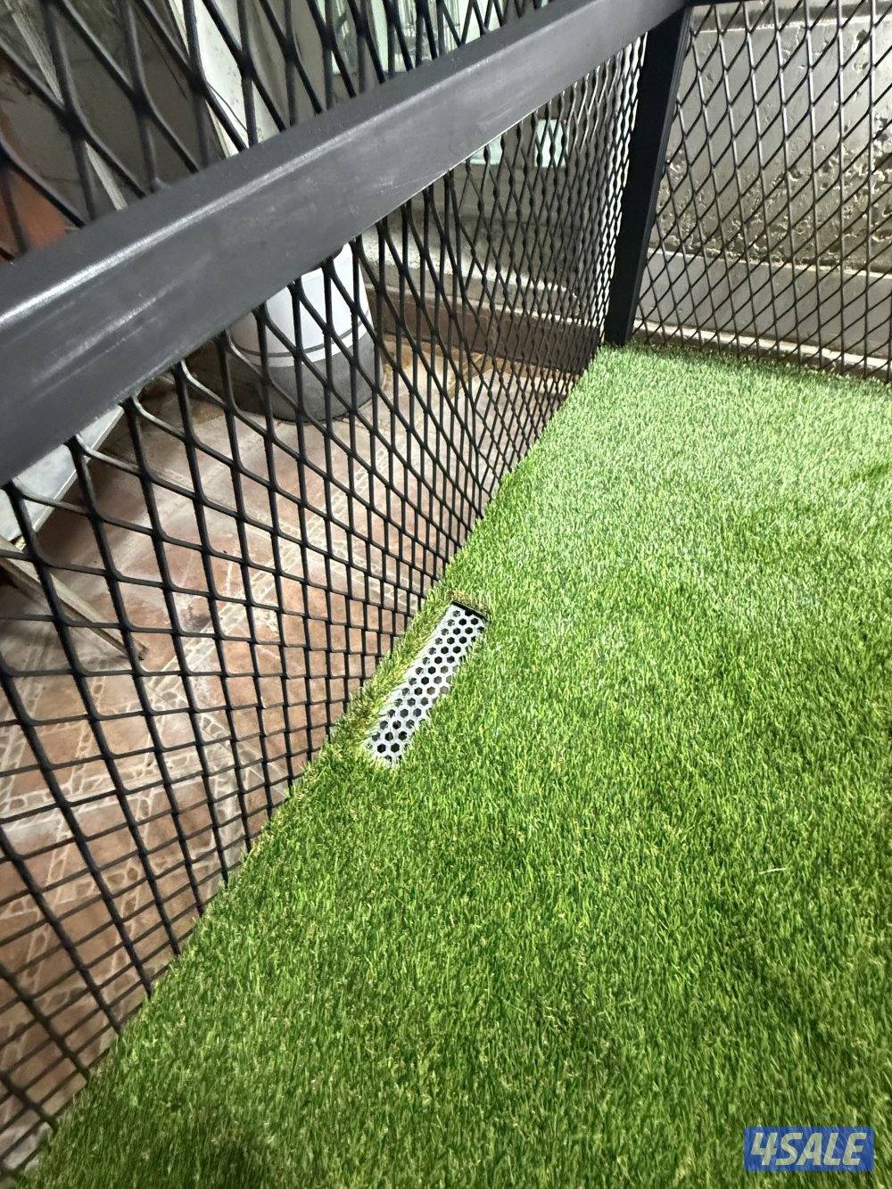 بيت كلاب حجم كبير6