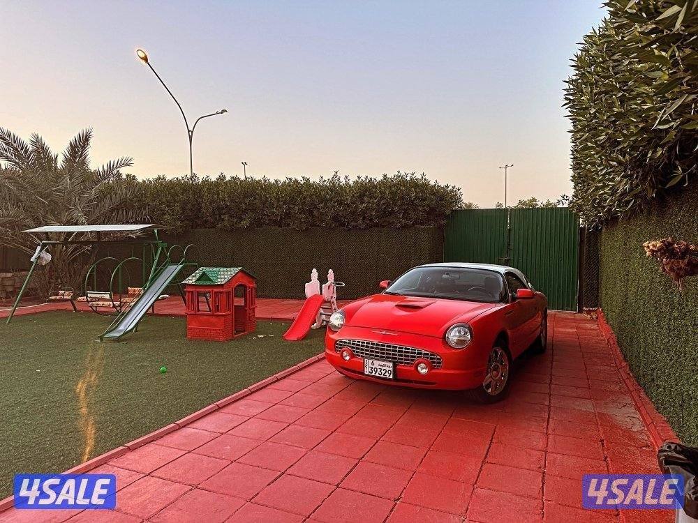 فورد ثندربيرد 20041