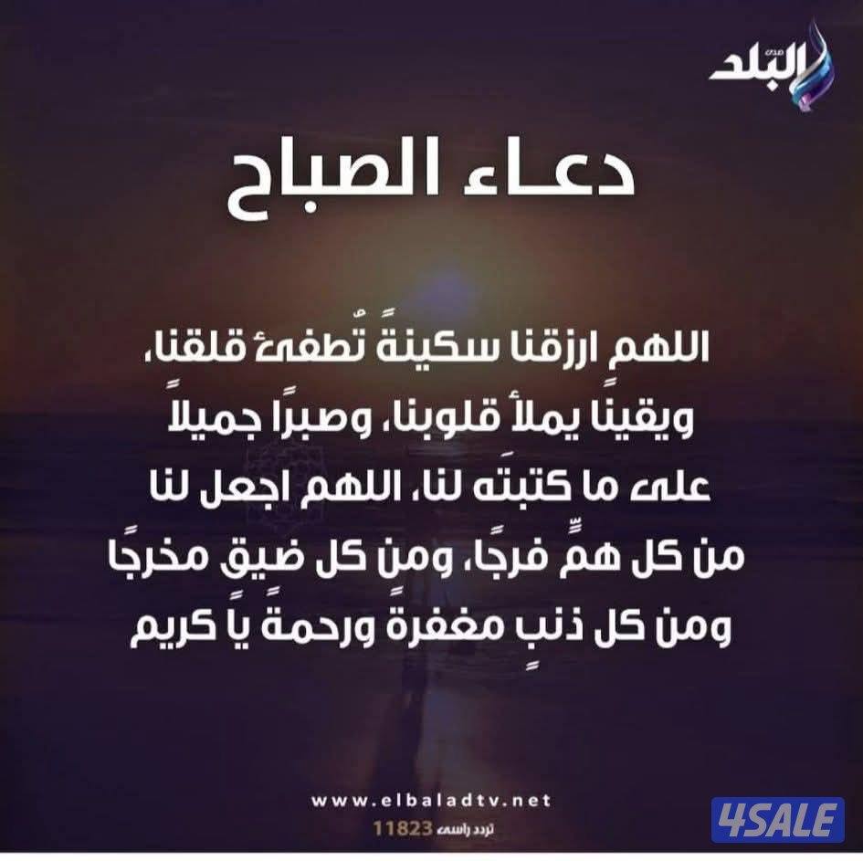 محتاج وظيفه من فئة البدون0