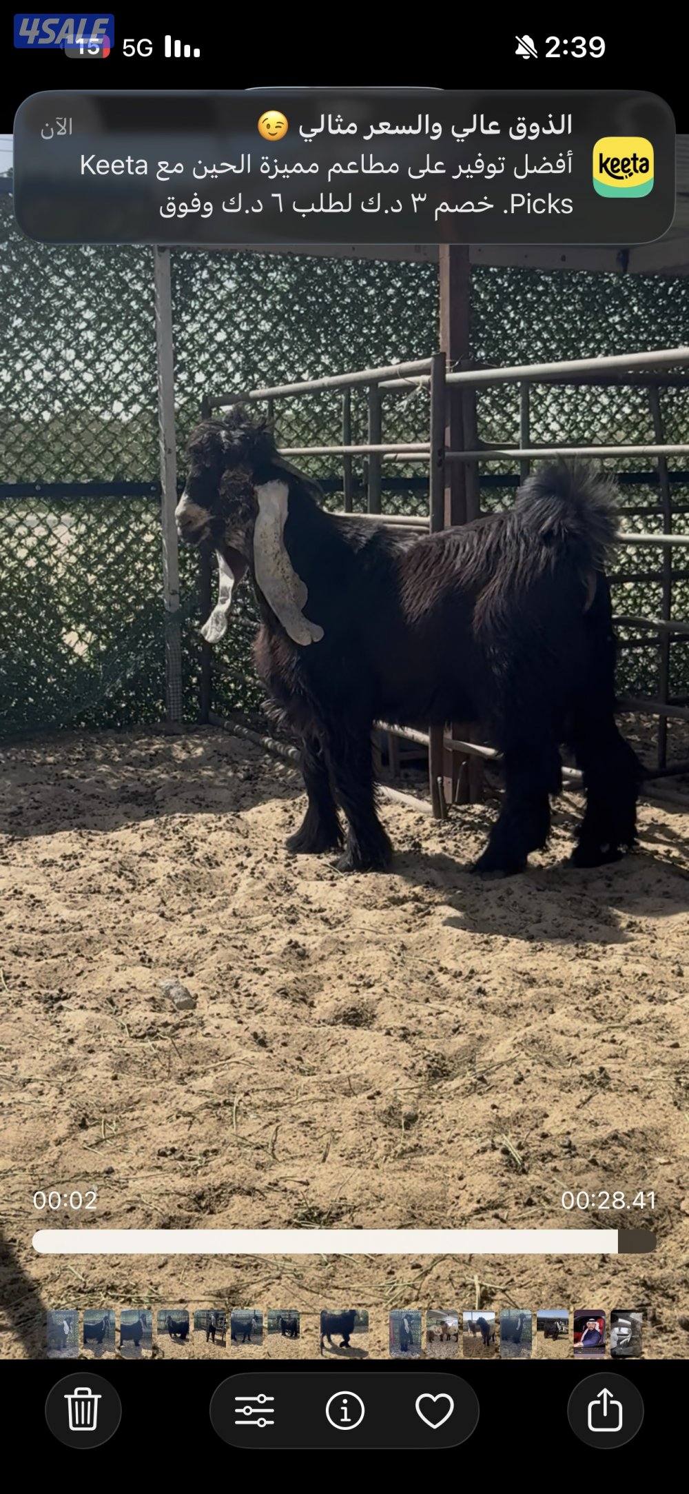 جذع  اربش خصم الخصك7