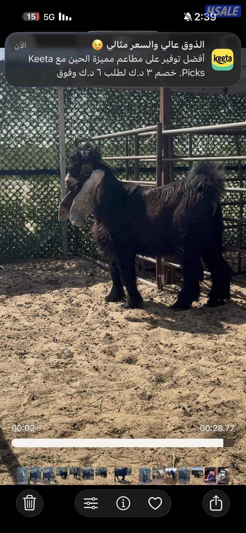 جذع  اربش خصم الخصك8