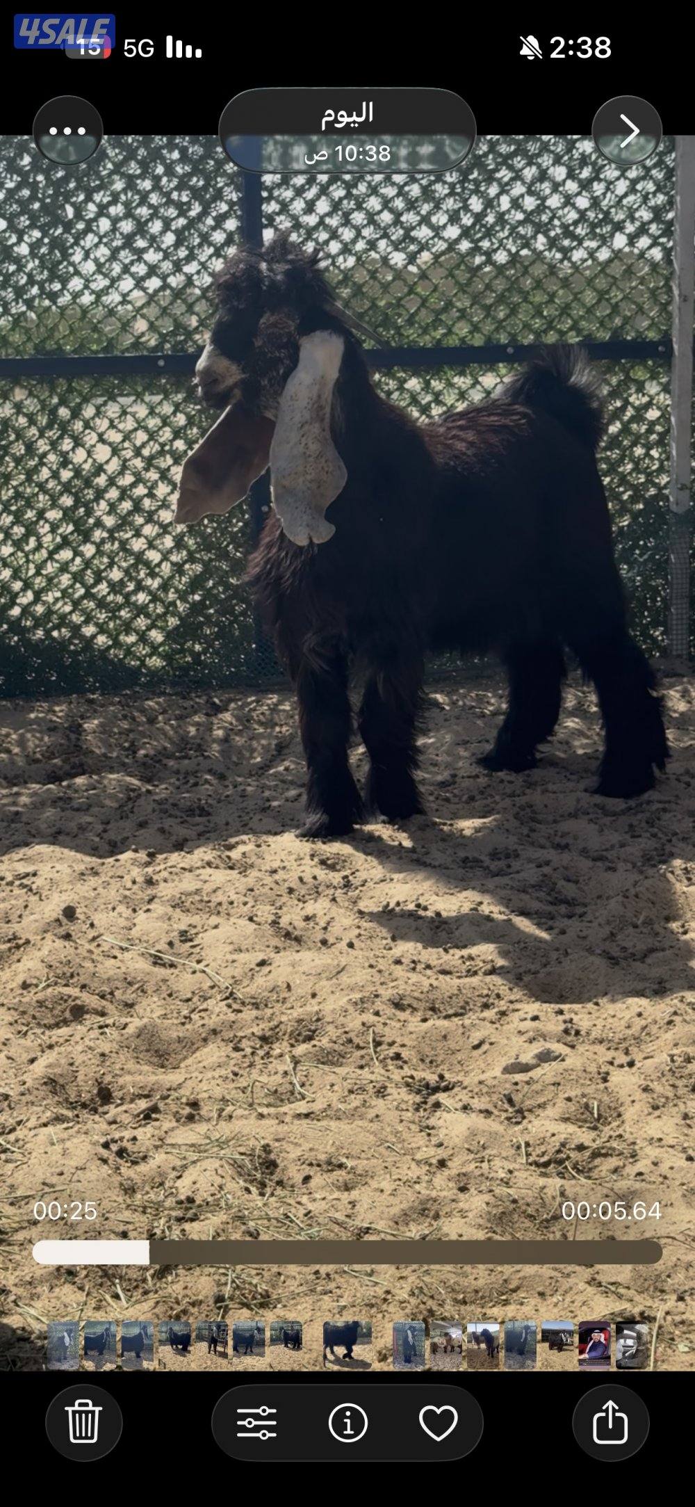 جذع  اربش خصم الخصك10