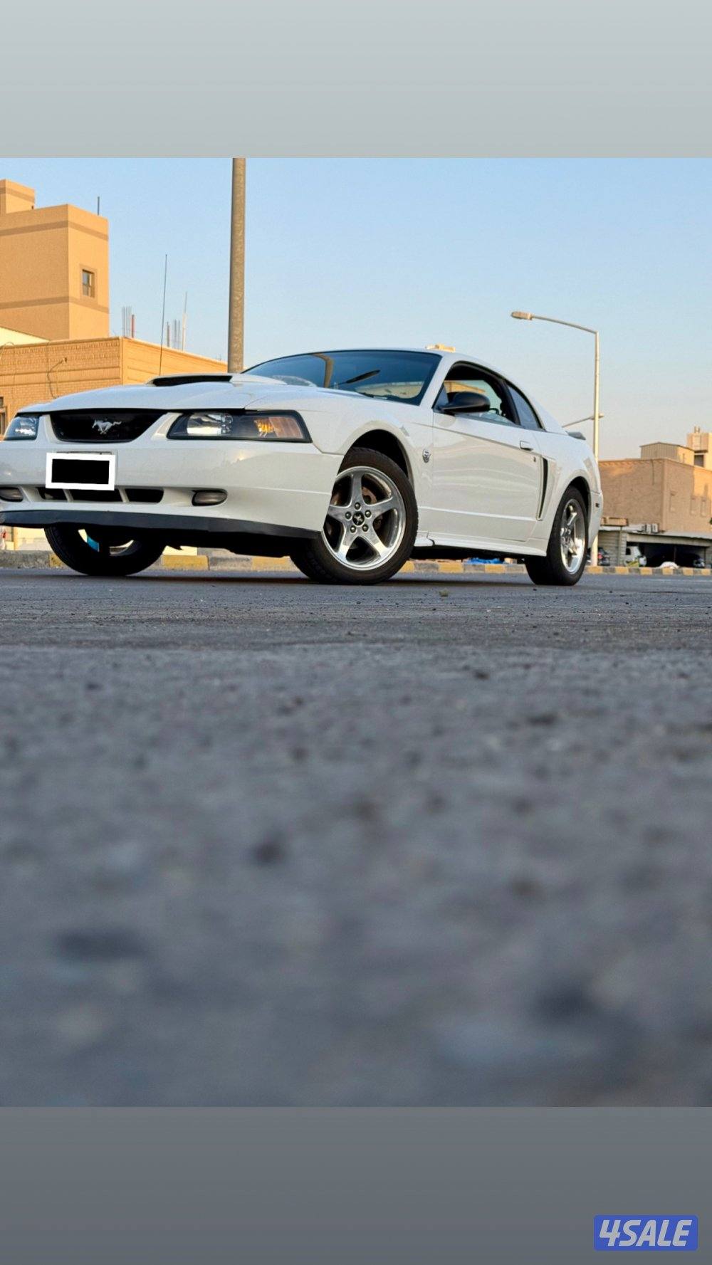 موستنق 2003 GT وارد امريكا1