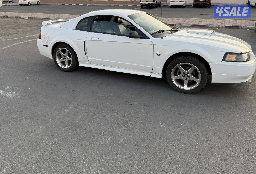 موستنق 2003 GT وارد امريكا3