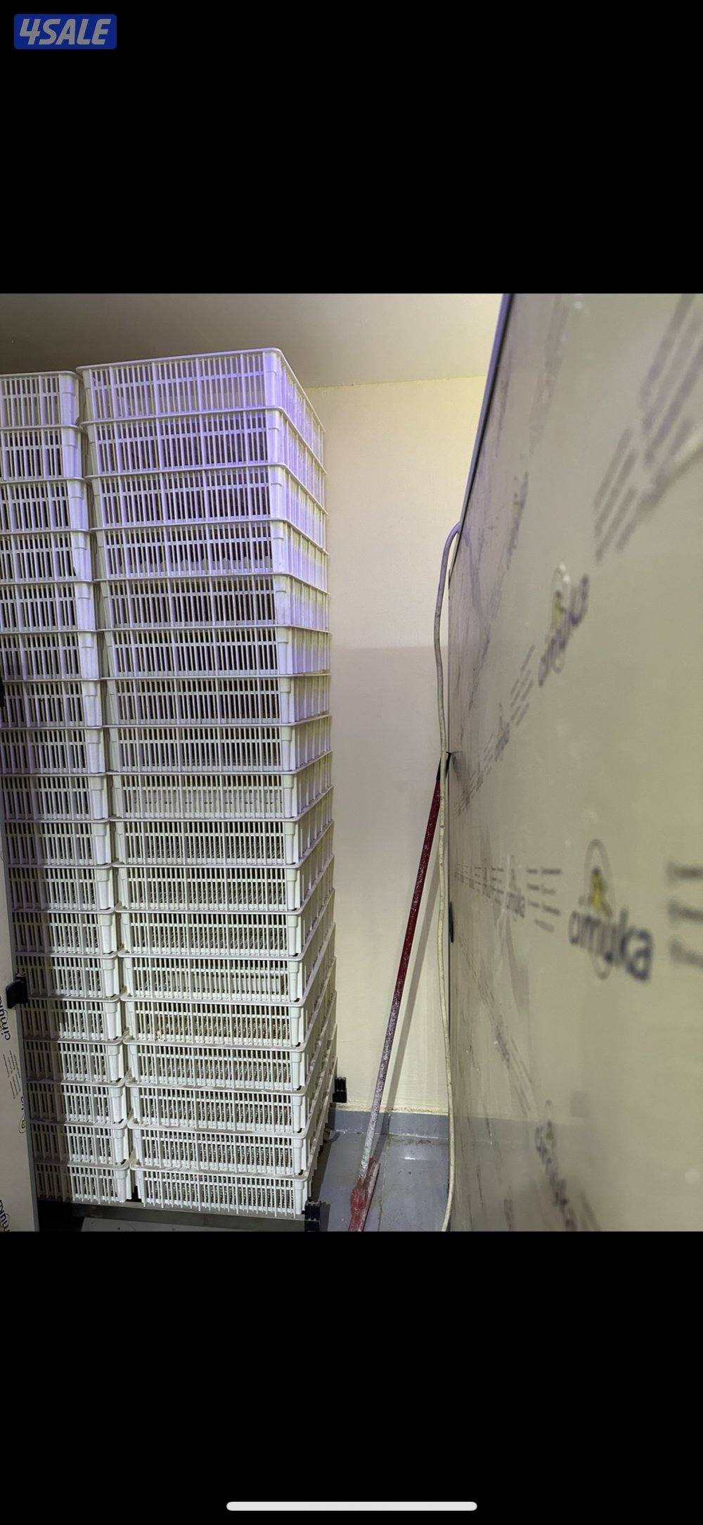 للبيع فقاسه 4800 بيضه3