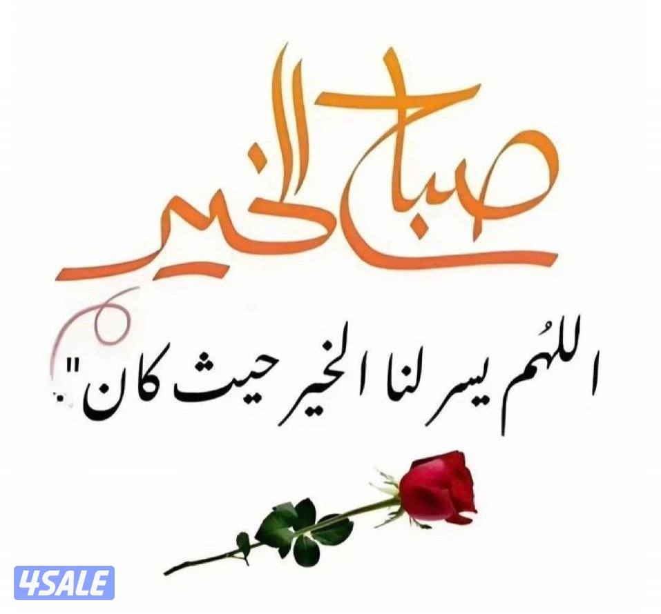 للايجار شقق فى ابو فطيره0