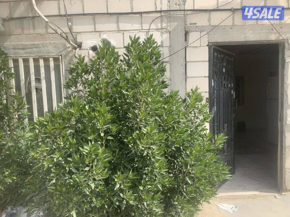 للايجار اسطبل في اسطبلات الاحمدي دوانيه ومقلط و٢ غرف نوم ومطبخ وحمام6