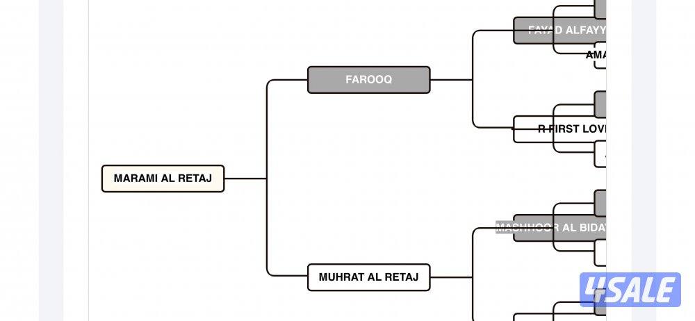 للبيع مهره1