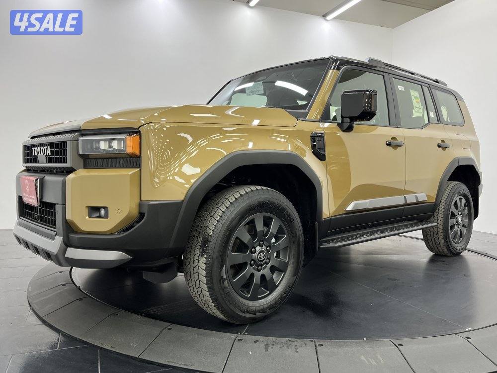 TOYOTA PRADO-250 24PRP-AD-DT-B1