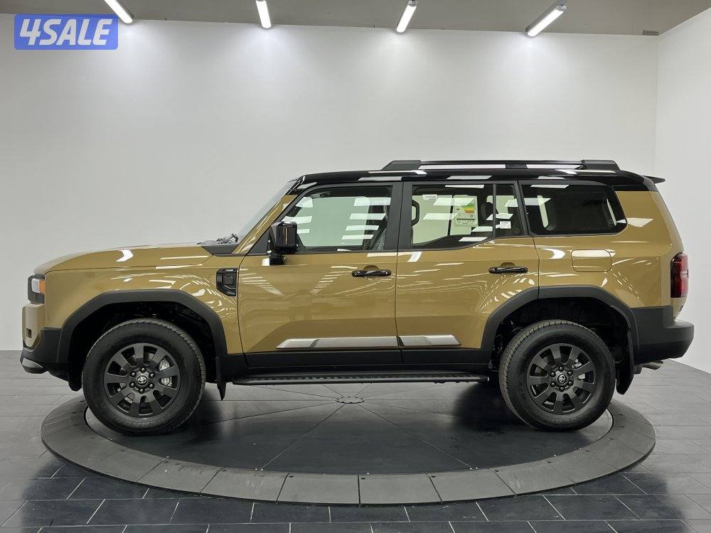 TOYOTA PRADO-250 24PRP-AD-DT-B2