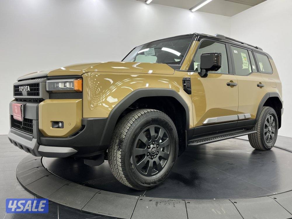 TOYOTA PRADO-250 24PRP-AD-DT-B1