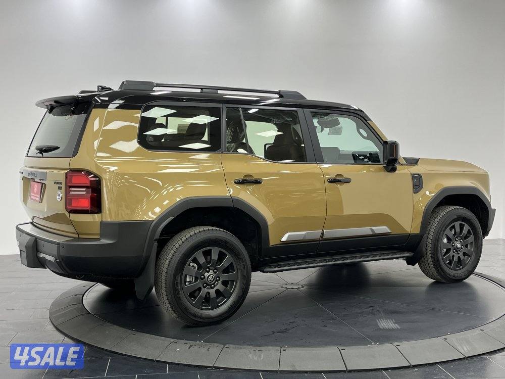 TOYOTA PRADO-250 24PRP-AD-DT-B9