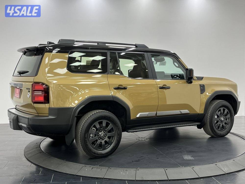 TOYOTA PRADO-250 24PRP-AD-DT-B9