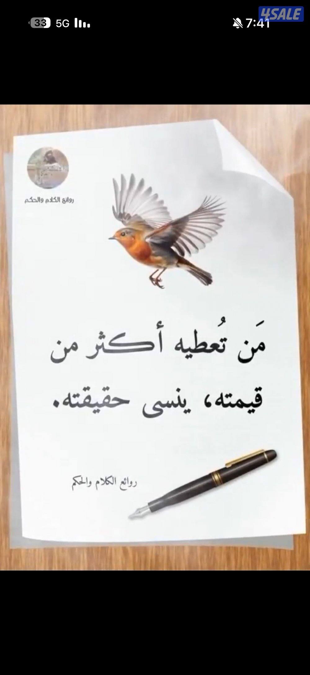 شقة 3 + 1صاله  + 2 حمام و مطبخ1